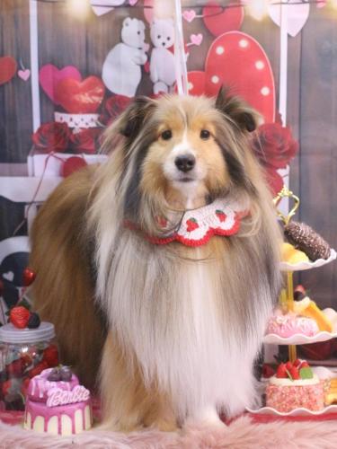 20250225ノアくん